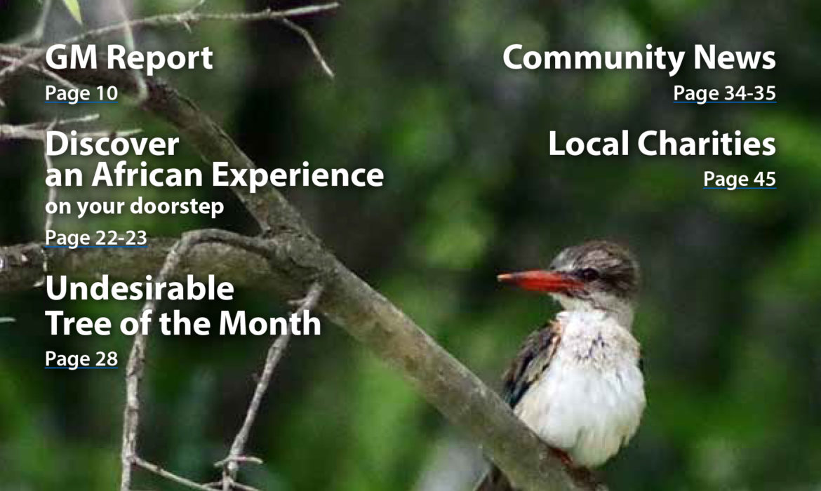 In Focus your community magazine – Dainfern Nature Association July 2021