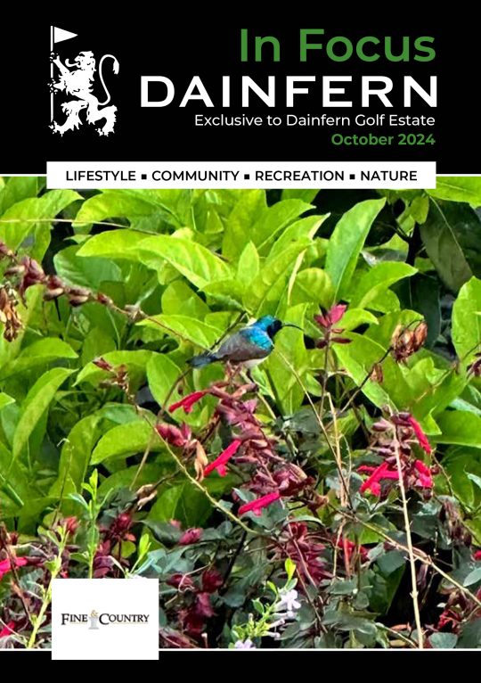 In Focus your community magazine – Dainfern Nature Association October 2024