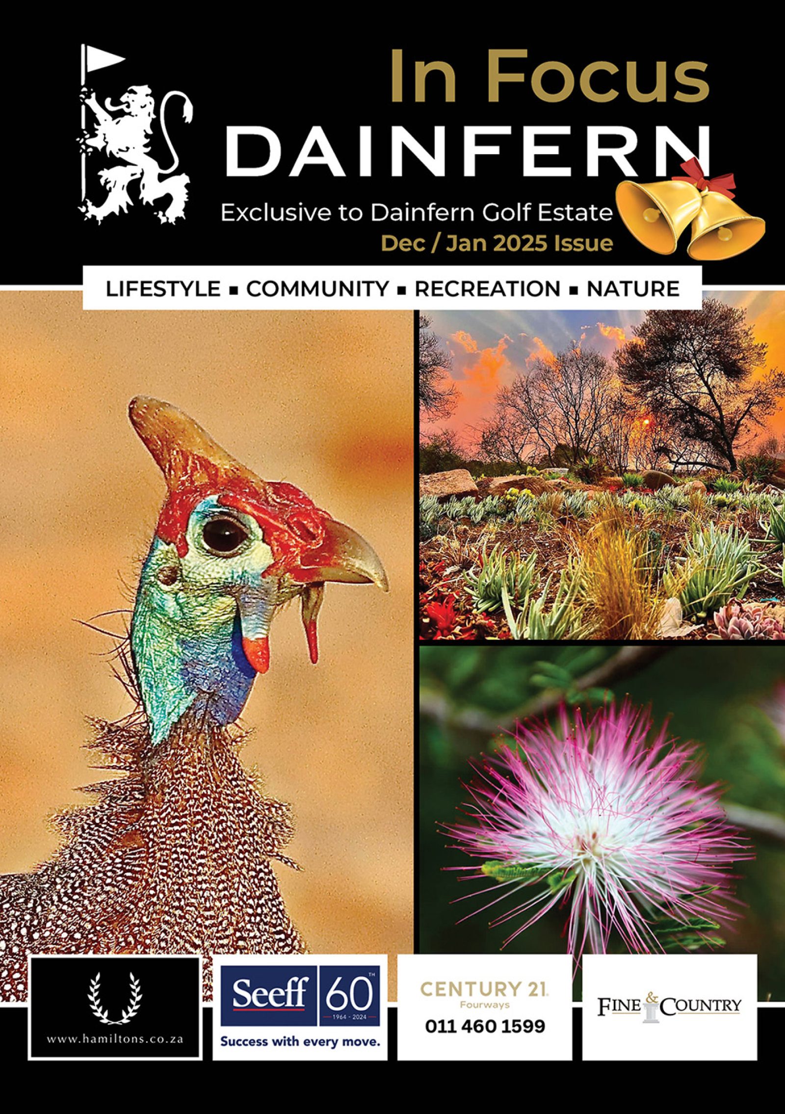 In Focus your community magazine – Dainfern Nature Association December 2024