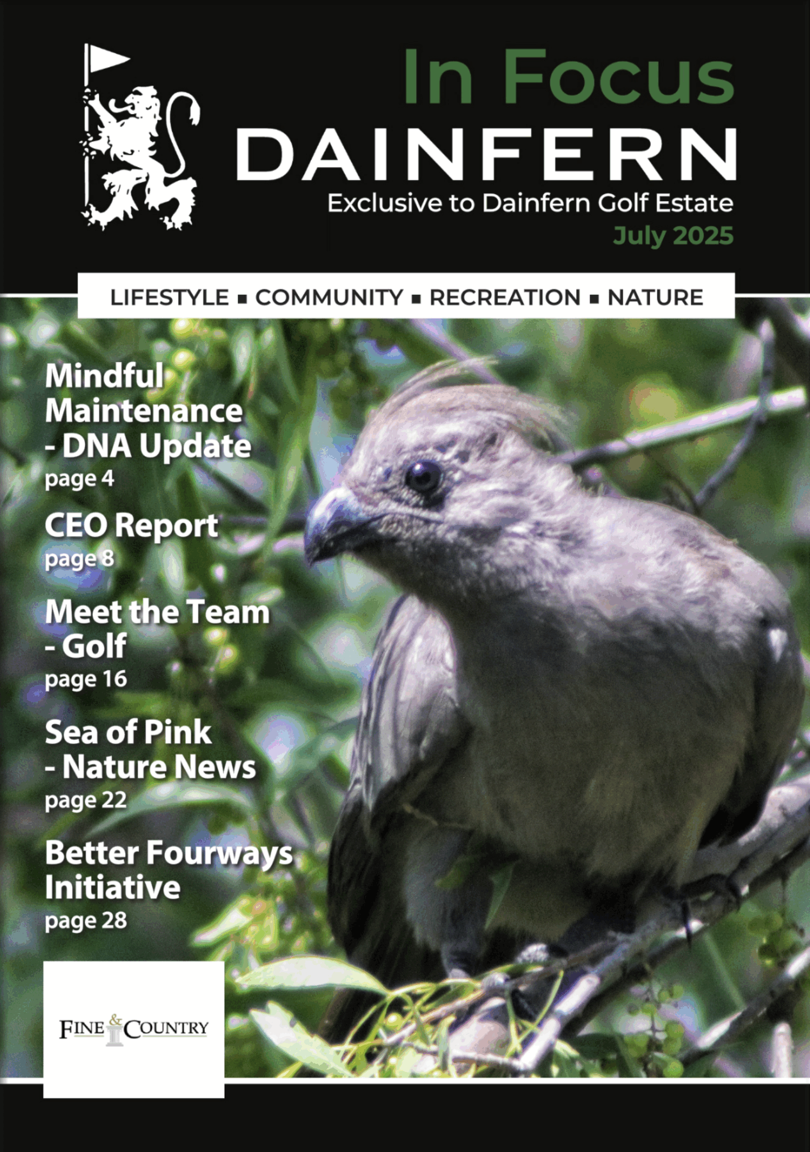 In Focus your community magazine – Dainfern Nature Association July 2025