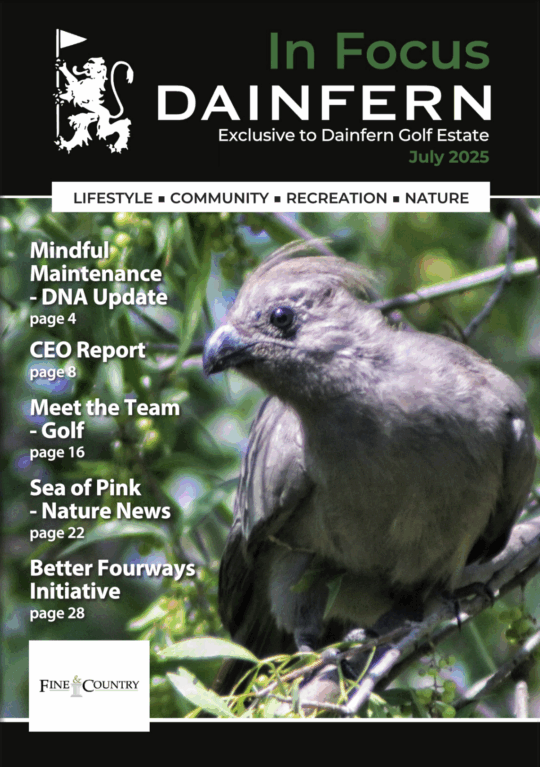 In Focus your community magazine – Dainfern Nature Association July 2025