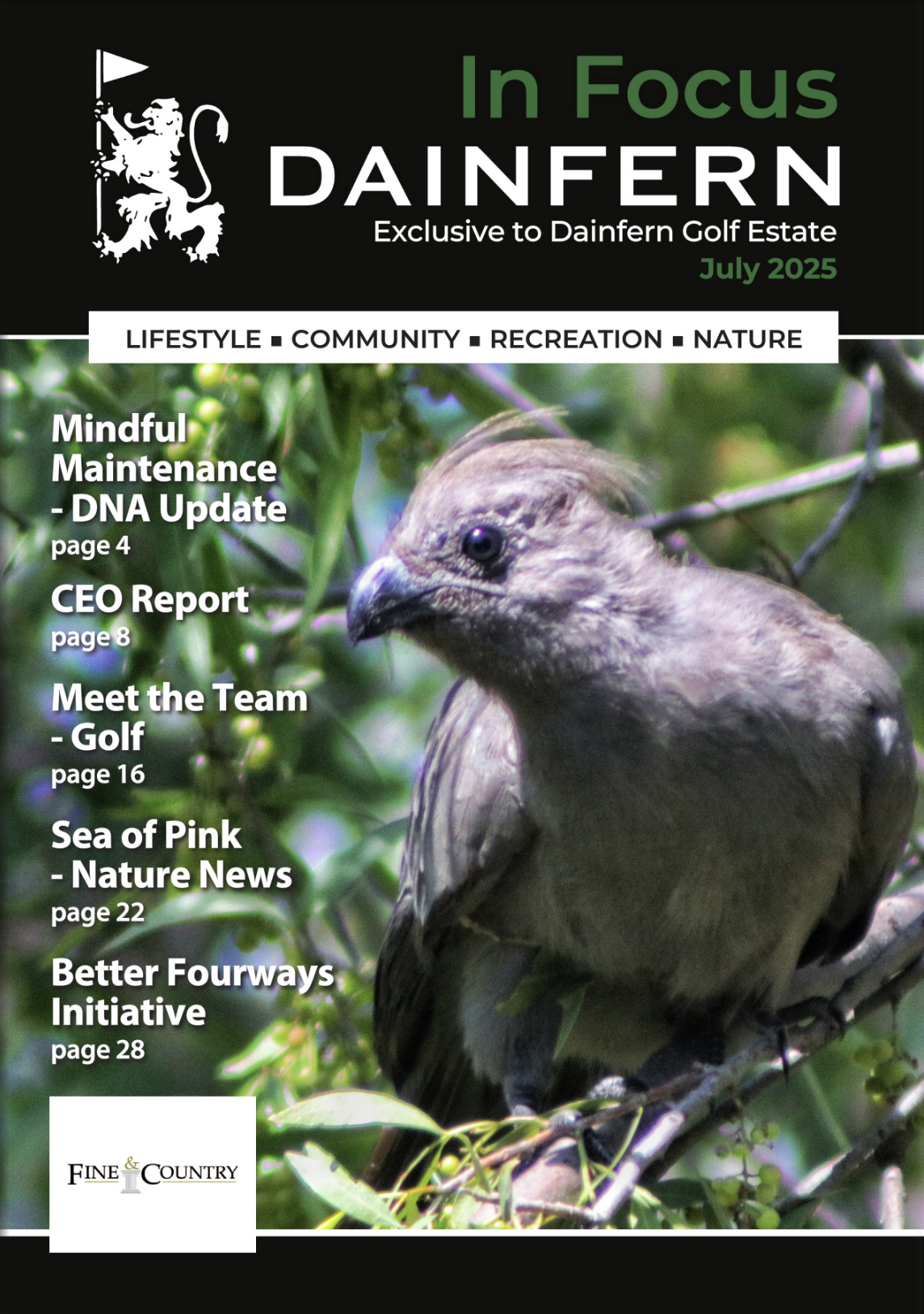 In Focus your community magazine – Dainfern Nature Association July 2025