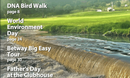 In Focus your community magazine – Dainfern Nature Association June 2025